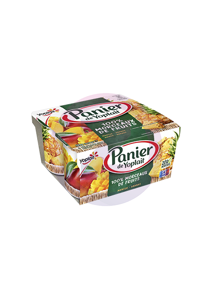 Yaourt Panier Mangue 6x125G