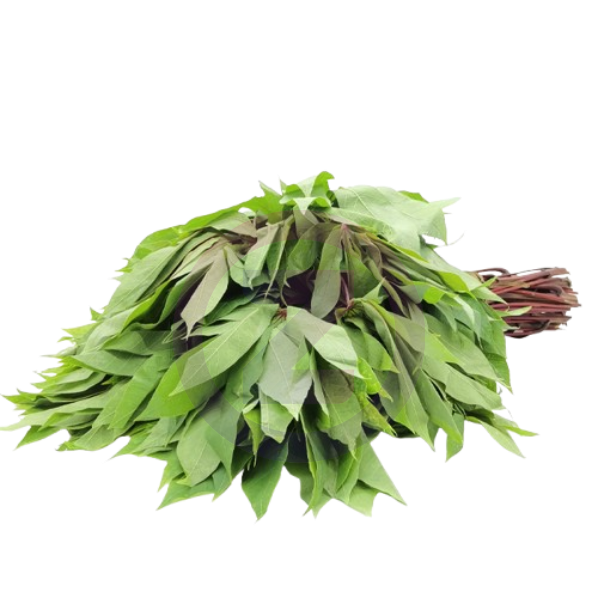Brede Manioc