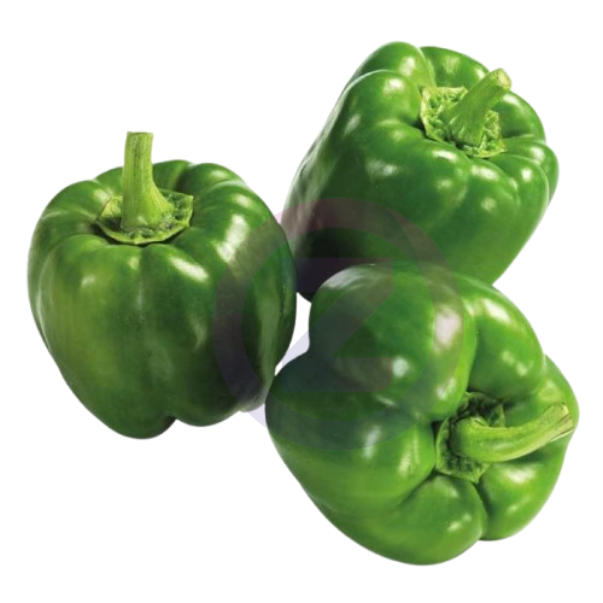 Poivron Vert