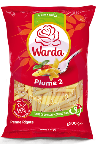 Plume longue rayee 500G 