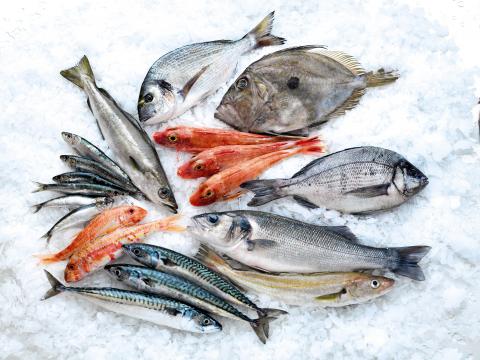 Petit poisson 1kg