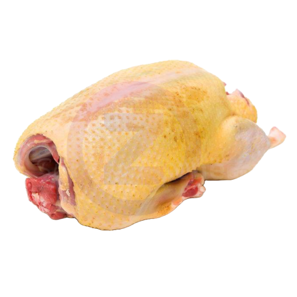 Canard entier "CEDROP" 1,7KG