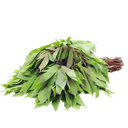Brede Manioc
