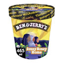 Ben & Jerry's Sunny Honey Home