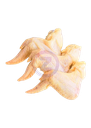 Ailes de poulet "TOPY" 10KG HL