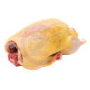Canard entier 1,7KG