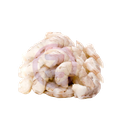 Crevette  DEC. 16/20 500GR